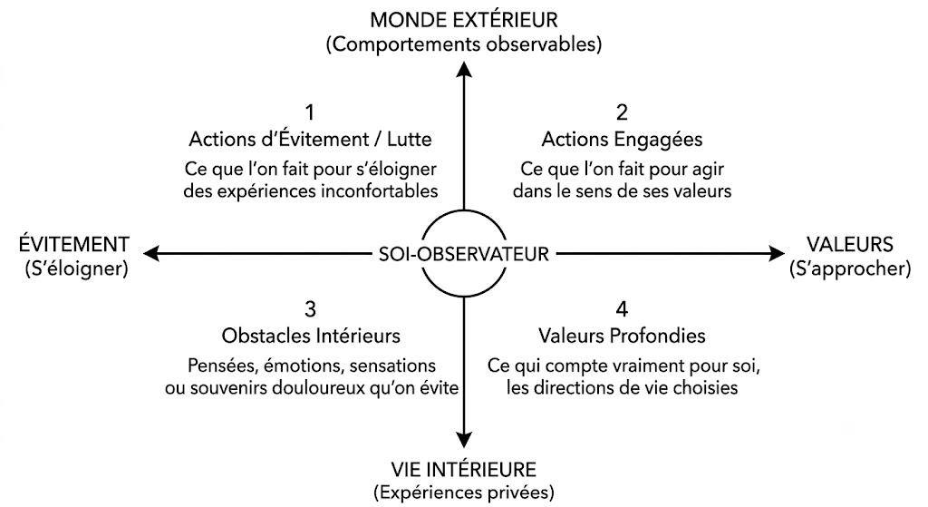 analyse fonctionnelle par la matrice